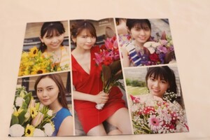 ポスター ラストアイドル