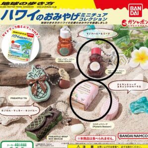 ハワイのおみやげミニチュアコレクション 地球の歩き方 ハワイ お土産 ハチミツ ベア くま クマ ベビーベアーハニー 石鹸