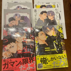 ためしにコマンド言ってみた 1+2 コミコミ 有償特典小冊子