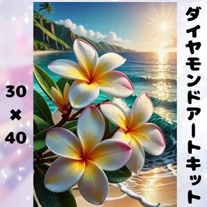 ダイヤモンドアート キット 手芸 ハワイ プルメリア ビーチ 海 リゾート 南国 ハワイアン インテリア