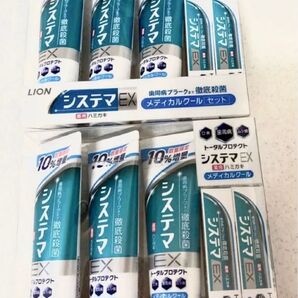 システム歯磨き粉 143g×6本 30g×4本