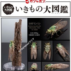 オンライン版いきもの大図鑑アドバンス ミカドミンミン 止まり木セット ディスプレイスタンド ミンミンゼミ