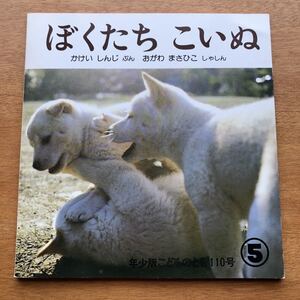 年少版こどものとも ぼくたちこいぬ けいしんじ おがわまさひこ 福田祐作 1986年 初版 絶版 犬 柴犬 動物 古い 写真 絵本 昭和レトロ
