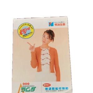 明治生命 非売品 メモ帳 稲森いずみ