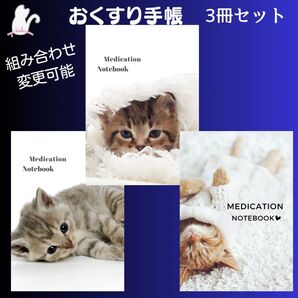 No.A16・A60・A61 ハンドメイド お薬手帳 3冊セット