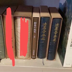 古書 民族資料群馬県貴重レア 古本 地域研究