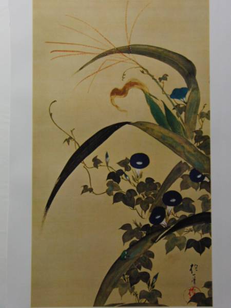 酒井抱一, 玉蜀黍牽牛花図, 超希少･大判画集画, 新品高級額装付, mai, 絵画, 油彩, 自然, 風景画