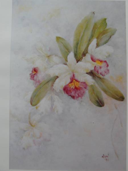 Nancy Gunn, Orchidee, ★Extrem seltenes Kunstbuch★, Neuer hochwertiger Rahmen inklusive, In guter Kondition, Porto inklusive, Nancy Gan, Porzellanmalerei, Tanne, Malerei, Ölgemälde, Natur, Landschaftsmalerei