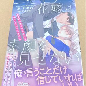 ニセモノ花嫁は素顔を見せない 御曹司の強すぎる愛から逃がしてもらえません (ルネッタブックス2025/7) 東万里央