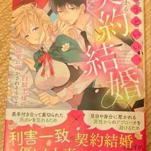 ちょうどいい、から始まる契約結婚 白騎士様の溺愛に溶かされそうです (Ruhuna) Ayari/著