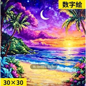 数字絵 ペイントバイナンバー 夕陽の海辺 30×30