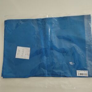 テーブルマット 大きめ 2枚 ブルー ランチョンマット