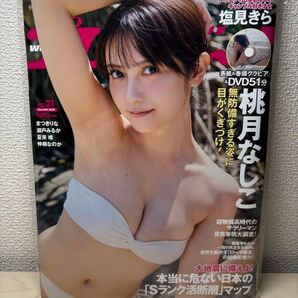 週刊プレイボーイ 2025年5月26日号 桃月なしこ 夏来唯