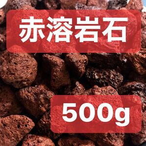 赤溶岩石 500g アクアリウム テラリウム コゲリウム 水草 ADA