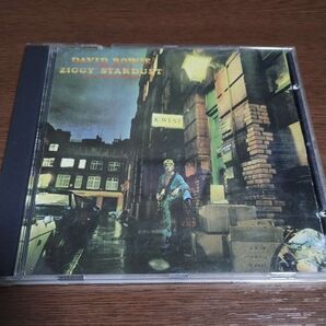 David Bowie Ziggy Stardust デヴィッド・ボウイ
