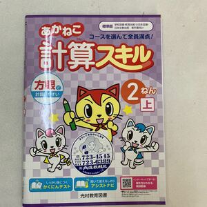 計算スキル　けいさん　方眼で計算しやすい　2年生　小2 【家庭学習用】【復習用】 小学校 ドリル プリント テスト答案a0057