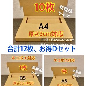 ★Dセット新商品新規格A4:10枚・B5:1枚・A5:1枚ネコポス対応合計12枚