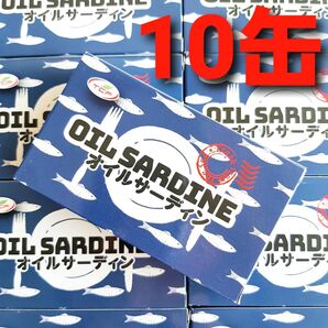 ★タイムセール!★ オイルサーディン 青 10缶 賞味期限 2027.12.21 いわし油漬け いわし缶 缶詰 保存食 非常食 ②