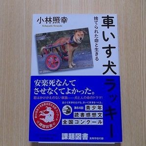 車いす犬ラッキー　捨てられた命と生きる