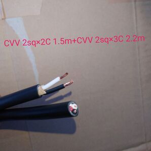 電気工事士技能試験用電線 切り売り CVV 2sq×2C 1.5m+CVV 2sq×3C 2.2m 各2023年製と2024年製