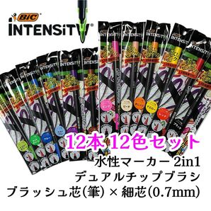 BICジャパン ビック 水性ペン 筆ペン 2in1 INTENSITY 水性マーカー 12本 12色セット デュアルチップブラシ
