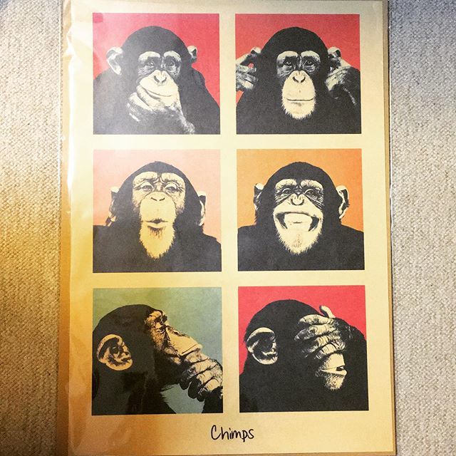2023年最新】Yahoo!オークション -ポスター チンパンジー(印刷物)の
