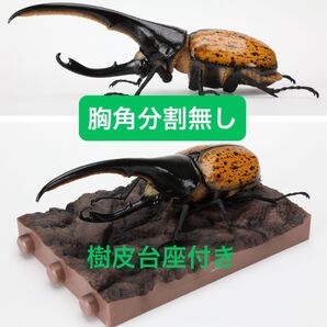 【オンライン版】 ヘラクレス・リッキー(オレンジ・新色) いきもの大図鑑 カブトムシ09