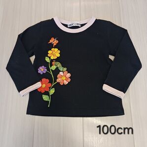 【子供服】100cm はらぺこあおむし ロングTシャツ