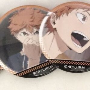 TAP推薦 ハイキュー 日向翔陽 缶バッジ