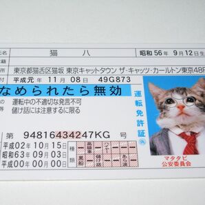 【なめ猫 免許証風 ブロマイド 猫八】なめんなよ猫 なめねこ 癒し 癒やし ネコ かわいい 可愛い 猫 キャラクター コスプレ