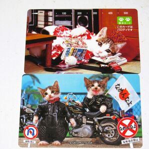 【なめねこ パロディカード 2枚】通行許可証 なめんなよ猫 ネコ ブロマイド 癒し 癒やし かわいい 可愛い 猫 コレクション