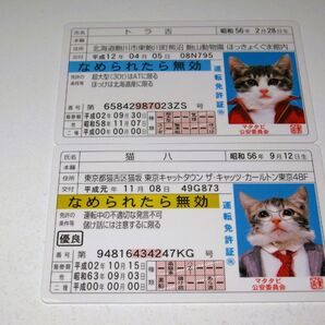 【なめ猫 免許証風 ブロマイド 2枚 】なめんなよ猫 なめねこ 癒やし 猫 ネコ かわいい 可愛い キャラクター コレクション