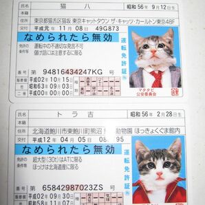 なめ猫 免許証風 ブロマイド 猫八 トラ吉】なめんなよ猫 なめねこ 癒やし 猫 かわいい 可愛い ネコ キャラクター コレクション