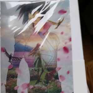 劇場機動戦士ガンダムシードフリーダム 前売り券特典クリアファイル2種セット入場者特典1種セット未開封