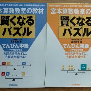 宮本算数教室の教材賢くなるパズルてんびん中級、初級 2冊セット 小学校全学年用 宮本哲也/著