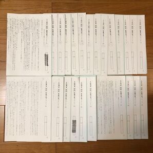 サピックス 6年国語 SS特訓・正月特訓・冬期講習桜蔭対策プリント全24回分解答解説付語彙力完成プリント解答付