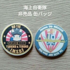 ★*未使用*非売品*海上自衛隊*DD110*DD116* 缶バッジ*2個セット* 参加記念パッチ