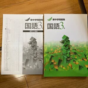新中学問題集 国語3年