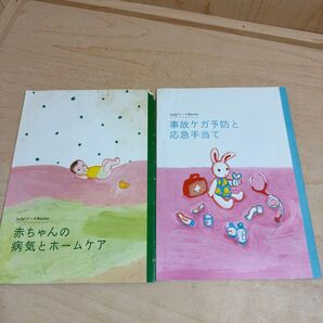 赤ちゃん 病気 ホームケア 事故ケガ予防 応急手当て 2冊セット