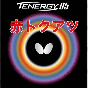 6枚セットテナジー05