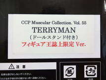 CCP キン肉マン Muscular Collection Vol.055 テリーマン リペイント作品_画像8