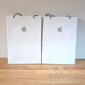 アップルストア 紙袋 ショッパー 2枚セット
