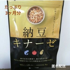 3ヶ月分 納豆キナーゼ DHA + EPA サプリメント 発酵食品 納豆 トマトリコピン