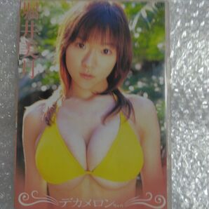 堀井美月 デカメロンちゃん DVD