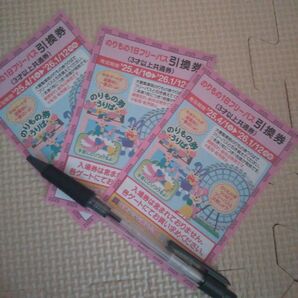 ひたち海浜公園 乗り物フリーパス 乗り放題 3枚 枚数変更可能 ひたちなか 遊び場 遊園地