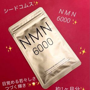 シードコムス☆★NMN 6000☆ニコチンアミドモノヌクレオチド☆約1ヶ月分★☆