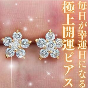 座敷わらし宿る極上開運ピアス 金運アップ 恋愛運 健康運 仕事運 商売繁盛 御守り 財運 対人運 縁起物 浄化 スピリチュアル幸運