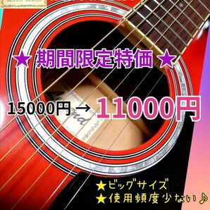 ◆期間限定特価◆LEGEND WG-15BS◆使用頻度少ない♪