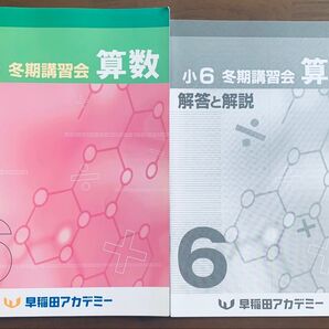早稲田アカデミー 小6 冬期講習会 算数 テキスト 解答解説 2冊セット