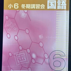 早稲田アカデミー 小6 冬期講習会 国語 解答解説付き